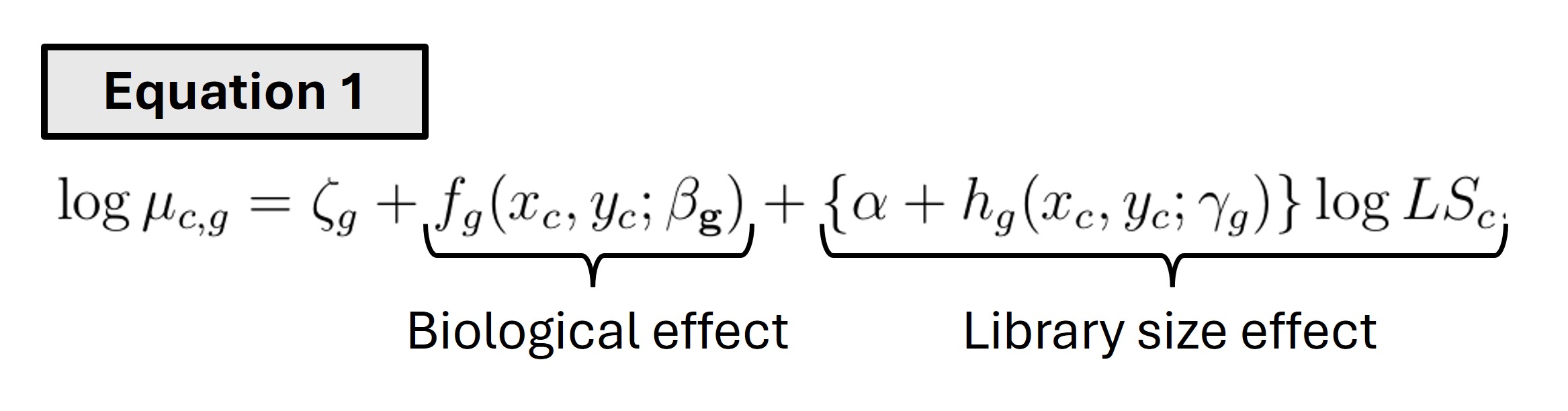 equation of log-linear model
