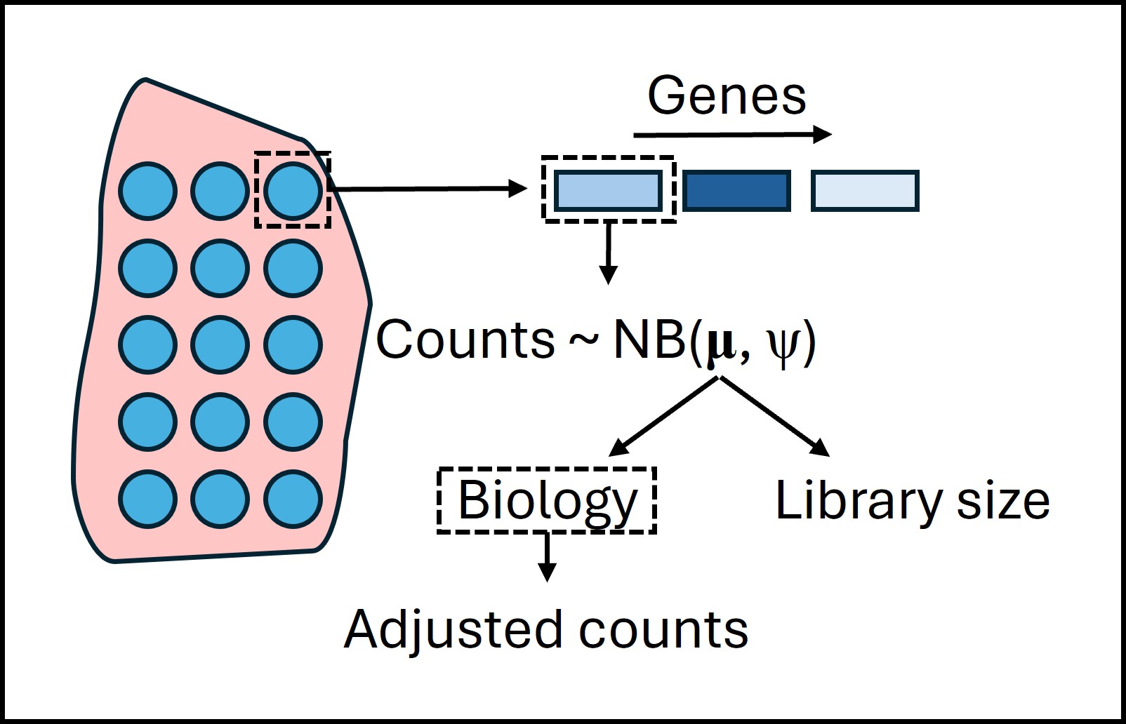 Schematic diagram of core concept